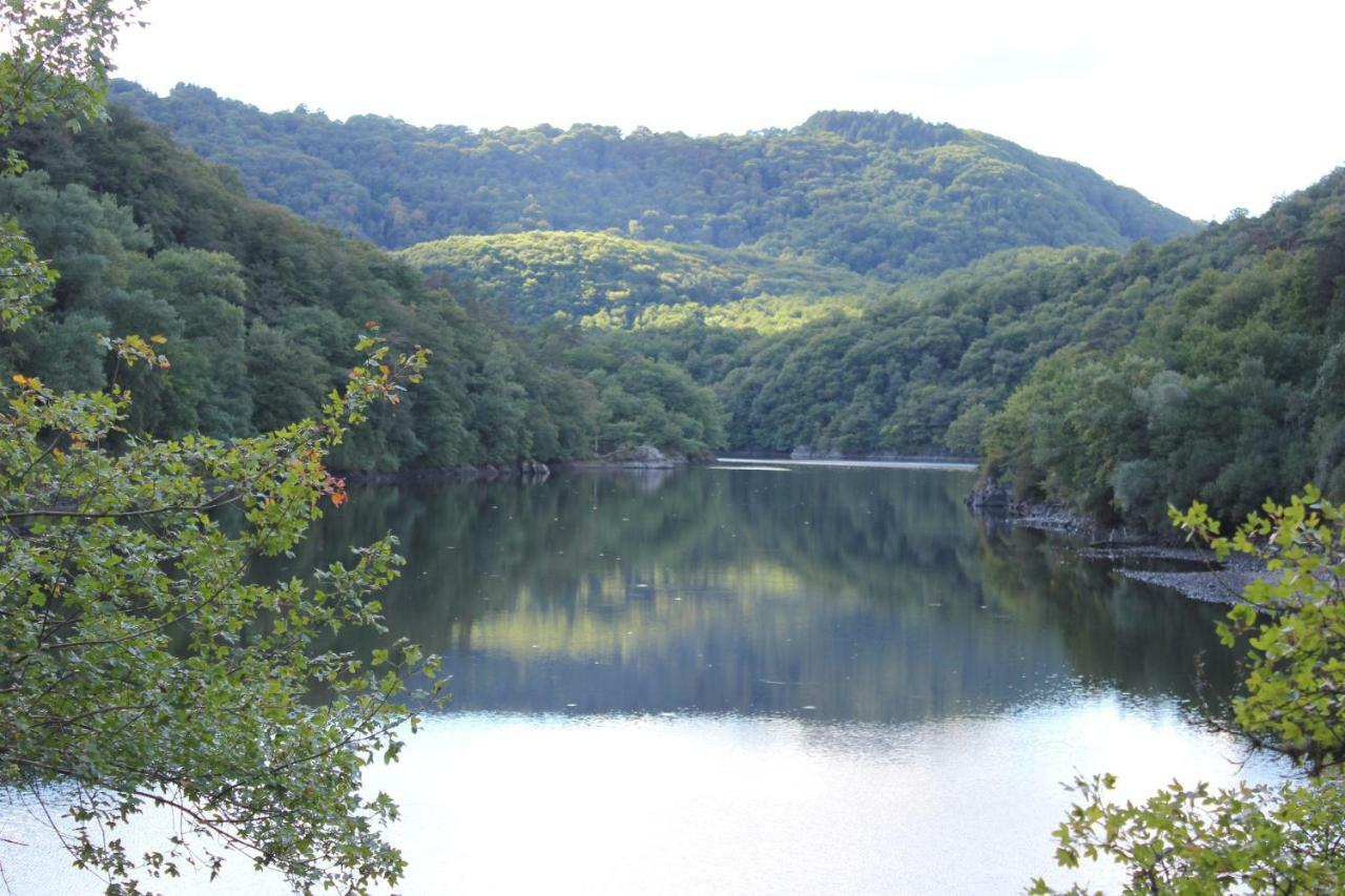 Maison Le Barrage Saint-Gervais-dʼAuvergne Zewnętrze zdjęcie